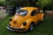 Crich Bug Fest (1027)