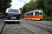 Crich Bug Fest (1045)