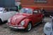 Crich Bug Fest (1052)
